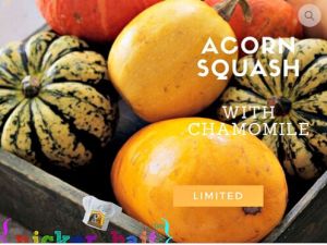 Chamomile Acorn Squash