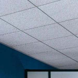 T grid ceiling tile