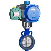 Actuated butterfly valves