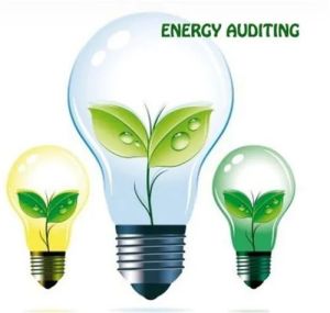 Green Audit Consultancy Services