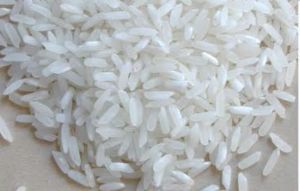 US Style Rice