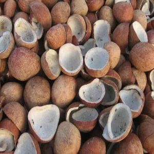 Coconut Nut Copra