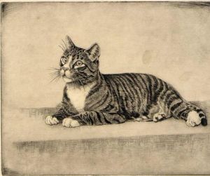 Tabby Cat etching
