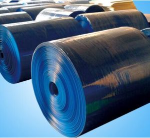PP Corrugated Sheet Rolls