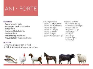 ANi-Forte Poultry Feeds Supplements