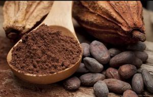 Cocoa Seed Extract