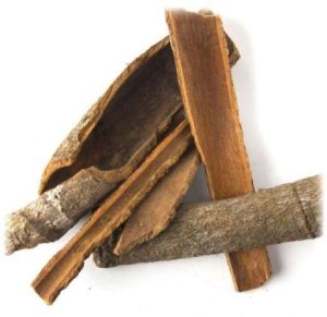 Ashoka Bark Dry Extract