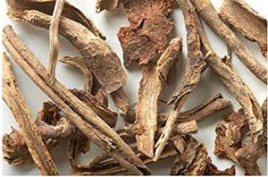 Bharangi Root Dry Extract