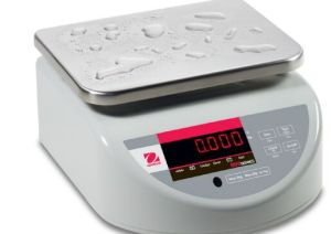 Washdown Compact Bench Scale