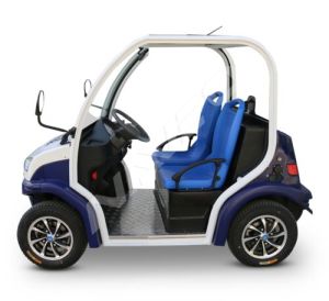 2 Seater Electric Vehicles