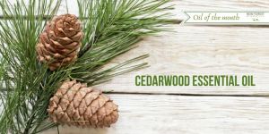 CEDARWOOD OIL