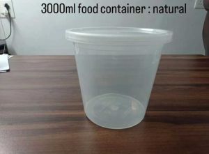 3000 ml Transparent Reusable Plastic Food Container