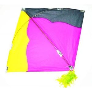 Stylish Paper Kite