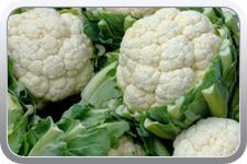 fresh cauliflower