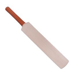 cricket bat