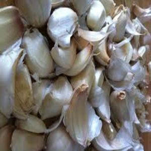 Unpeeled Garlic