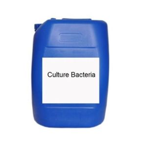 STP Microbial Culture