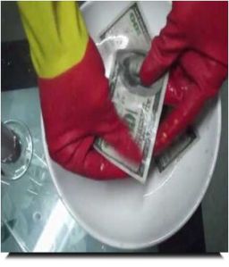 Money Quality Cleaning Services Money Quality Cleaning Services