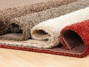 shaggy carpets