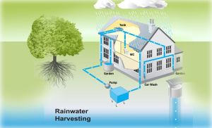 Rain Water Harvesting System Installation Services