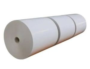 Poly Coated Duplex Paper