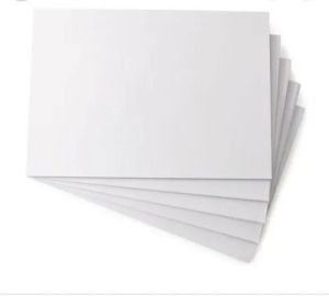 Poly Coated FBB Paper