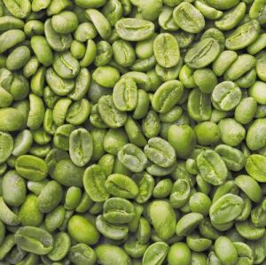 Arabica Coffee Cherry Green Beans (Grade A & B)