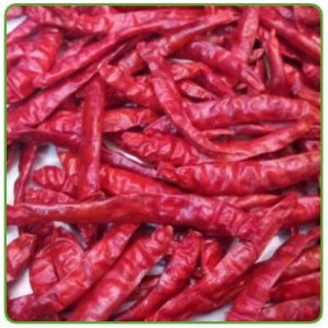 dry red chilli