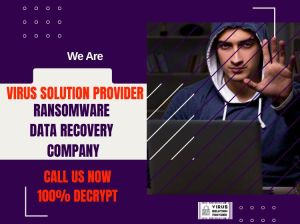 Virus Solution Provider -Ransomware Data Recovery Services