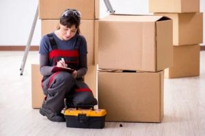 Domestic Cargo Packers Movers Service