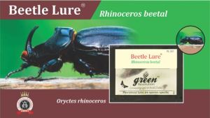 Beetle Lure / RB LURE