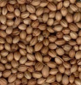 Badami coriander seeds