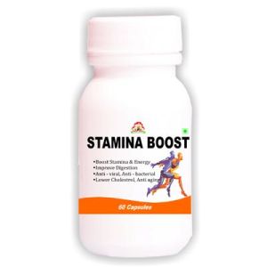 Stamina Boost Capsules