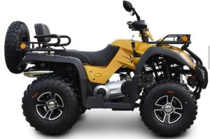 Quad Bike ATV 250CC, Vehicle