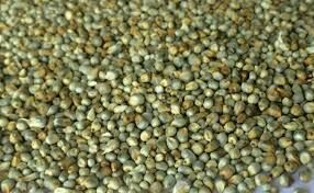 Green Millets