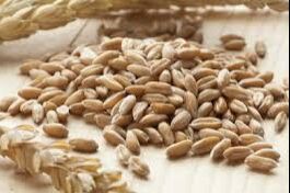 hulled wheat
