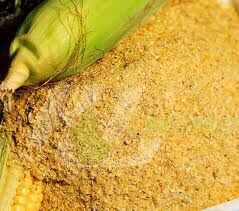 maize fibre