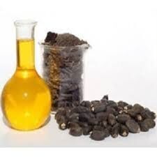 Refined jatropha oil