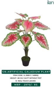 ARTIFICIAL CALADIUM PLANT