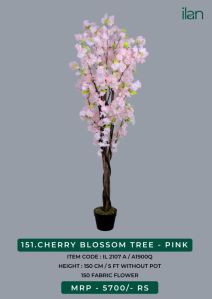 CHERRY BLOSSOM TREE - PINK 2107 A