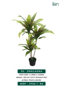 dracaena 2066 a artificial plant