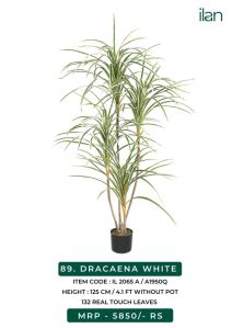 dracaena white artificial plants