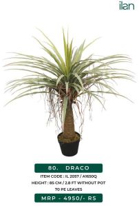 Draco Artificial Plants
