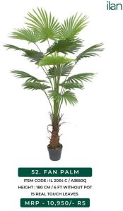 Fan Palm 2034 C Artificial Plants