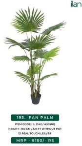 Fan Palm 2142 Decorative Plants