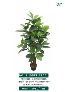 RUBBER TREE