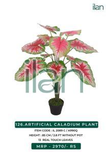 ARTIFICIAL CALADIUM PLANT