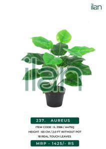 aureus 2186 artificial plant