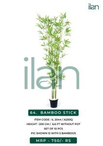 bamboo stick plant