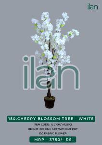 CHERRY BLOSSOM TREE - WHITE
